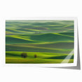 Vibrant rolled print showcasing a picturesque countryside landscape with lush green fields and a clear blue sky, elegantly packaged in a protective cardboard tube.