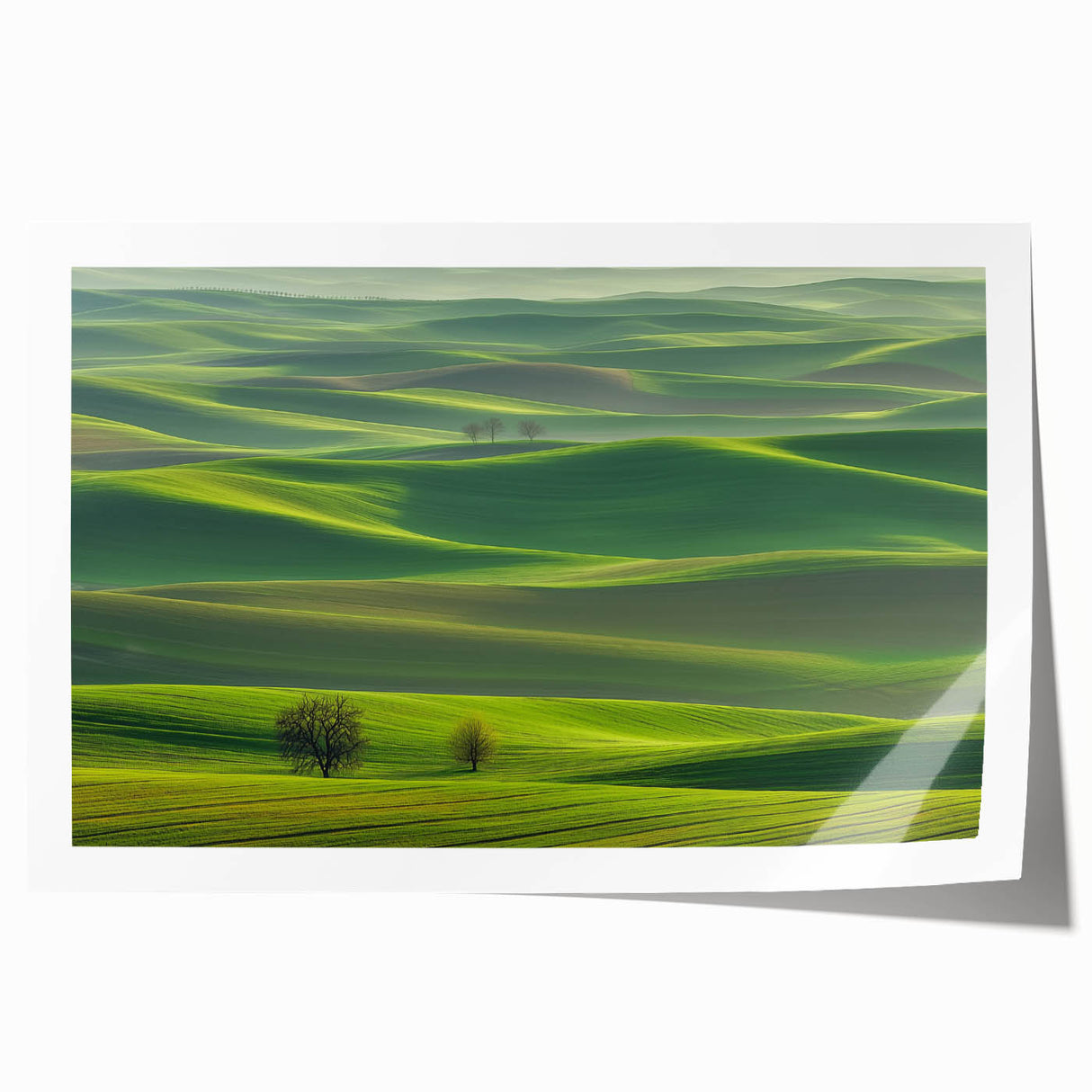 Vibrant rolled print showcasing a picturesque countryside landscape with lush green fields and a clear blue sky, elegantly packaged in a protective cardboard tube.