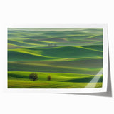 Vibrant rolled print showcasing a picturesque countryside landscape with lush green fields and a clear blue sky, elegantly packaged in a protective cardboard tube.