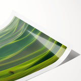 Countryside landscape rolled print showcasing vibrant green fields and a serene blue sky, elegantly packaged in a protective cardboard tube for art enthusiasts.