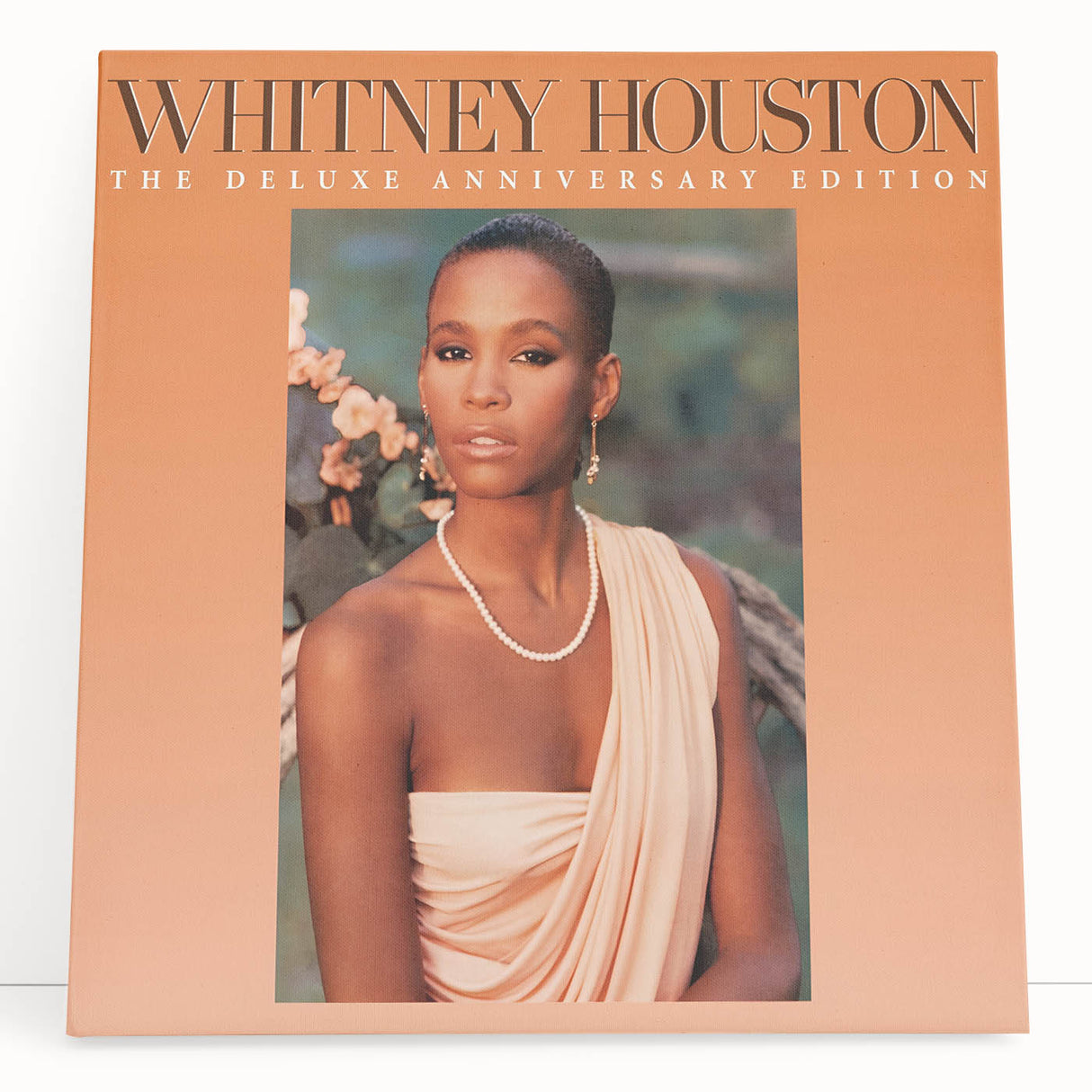 Whitney Houston Retro Wall Art – Vintage Album Cover Print