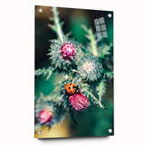 Large abstract wall art on acrylic glass depicting vibrant spring themes, ideal for bedroom or dining room decor.