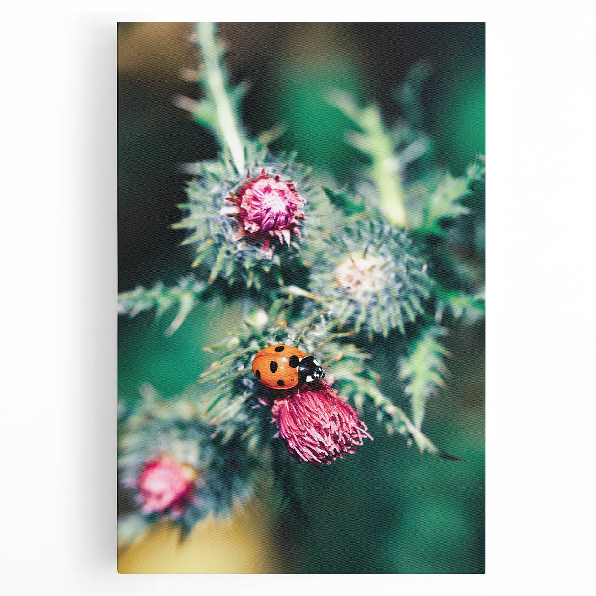 Large black and white stretched canvas featuring a minimalist spring design, ideal for kitchen wall art.