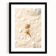 Extra large abstract art print featuring vibrant, colorful textures on a black framed canvas, suitable for living room decor.