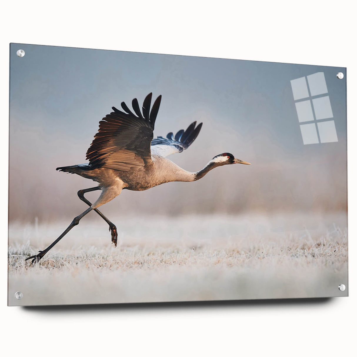 Side view of a chic acrylic glass wall art collection featuring contemporary designs, elegantly displayed with pins against a modern backdrop, perfect for home decor.