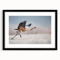 Black-framed wall art collection showcasing modern abstract designs with a mat, perfect for contemporary home decor. Ideal for living room or office enhancement.