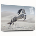 Acrylic wall art collection showcasing vibrant abstract designs, displayed in a modern setting with clear glass and decorative pins, ideal for contemporary decor.