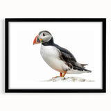 Black-framed wall art featuring a modern abstract design with a white mat, displayed in a front view setup, ideal for contemporary home décor. Perfect for adding elegance to living spaces.