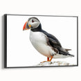 Framed canvas wall art showcasing a modern abstract design in vibrant colors, featuring a sleek black frame and a side view that highlights its depth and texture. Perfect for contemporary home decor.