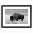 Black framed wall art collection showcasing a modern abstract design with matting, ideal for contemporary home decor, displayed from a front view.