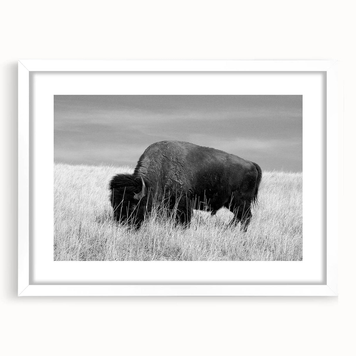 White-framed wall art featuring a minimalist design, showcasing abstract shapes and soft colors, ideal for modern home decor accents.