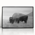 Framed acrylic wall art collection showcasing a modern black design, highlighting geometric patterns and sleek lines, perfect for contemporary home decor.