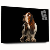 Basset Hound wall art design displayed on acrylic glass, showcasing a side view with vibrant colors and fine detailing, perfect for dog lovers' decor.