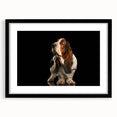 Basset Hound wall art print in a sleek black frame with a mat, showcasing a charming illustration of the breed, perfect for dog lovers' home decor.