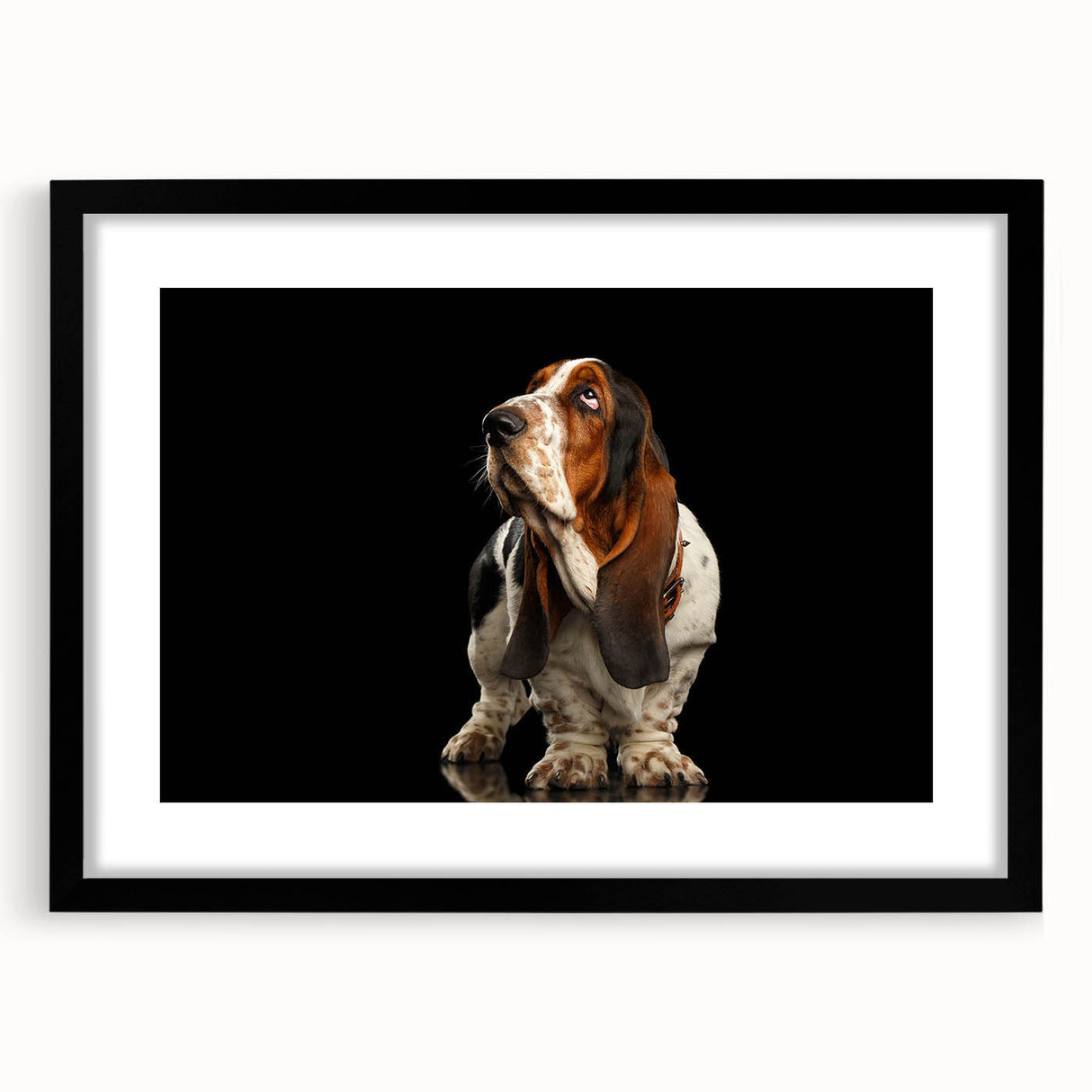 Basset Hound wall art print in a sleek black frame with a mat, showcasing a charming illustration of the breed, perfect for dog lovers' home decor.