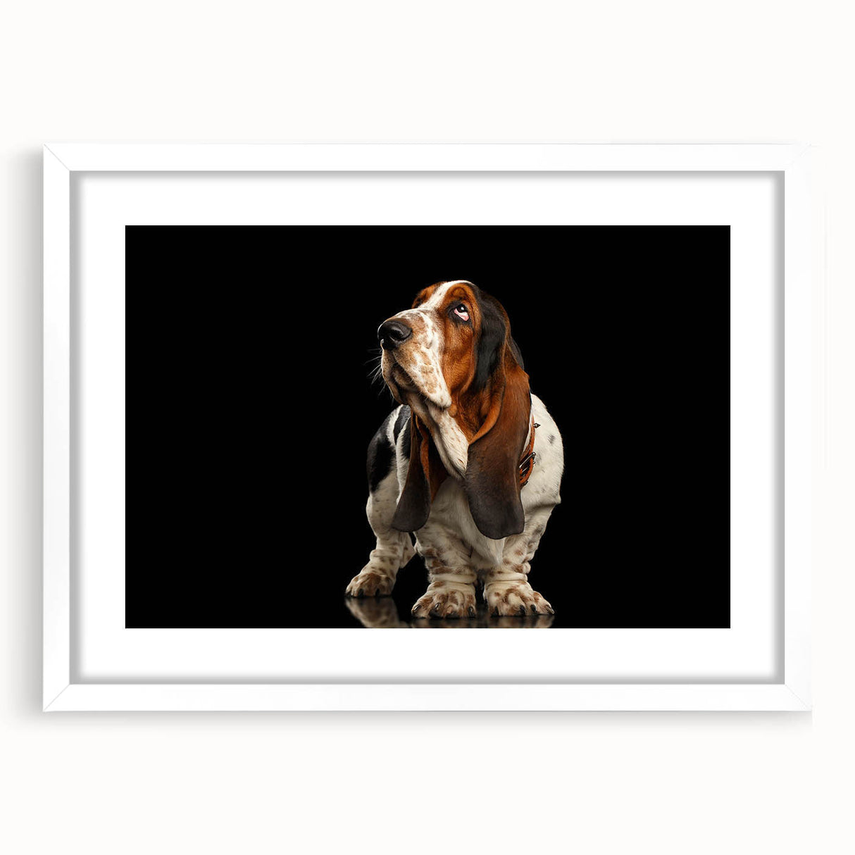 Basset Hound wall art design in a white frame with mat, showcasing a playful illustration of the dog breed, ideal for pet lovers and home decor enthusiasts.