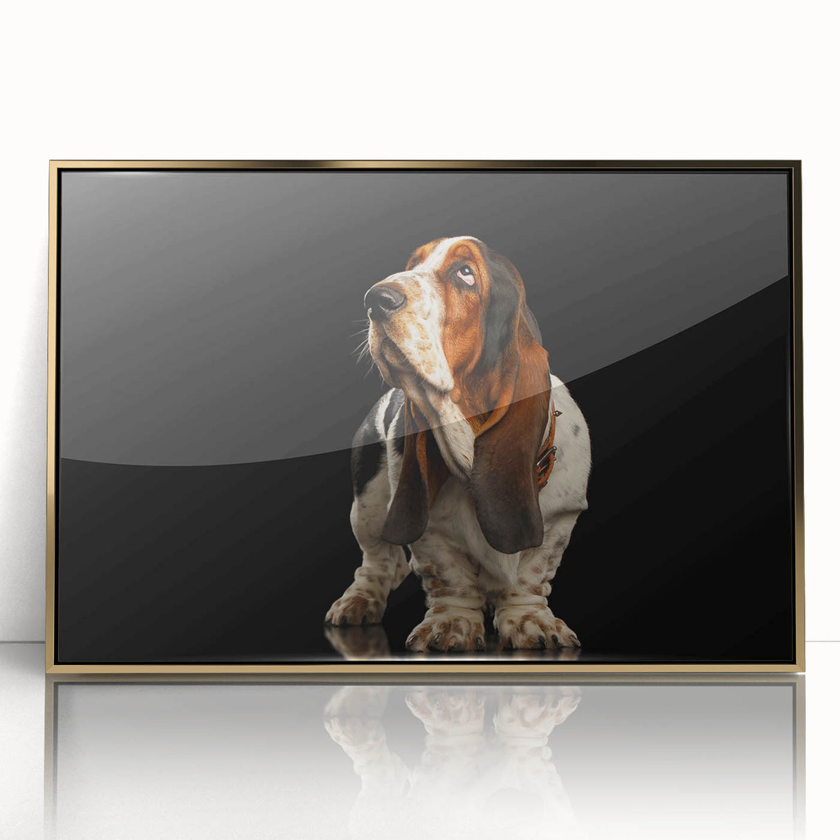 Framed wall art featuring a Basset Hound design in gold-accented acrylic, showcasing the dog’s unique features and playful expression, ideal for pet lovers' decor.
