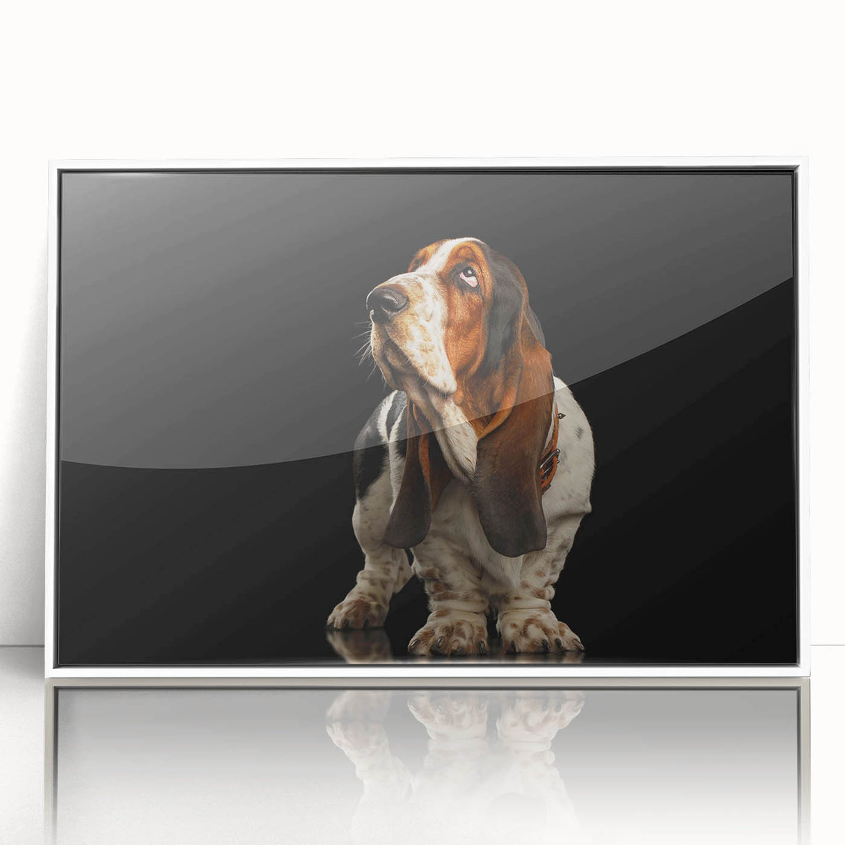 Framed acrylic wall art featuring a charming Basset Hound design, set against a white background, perfect for dog lovers and home decor enthusiasts.