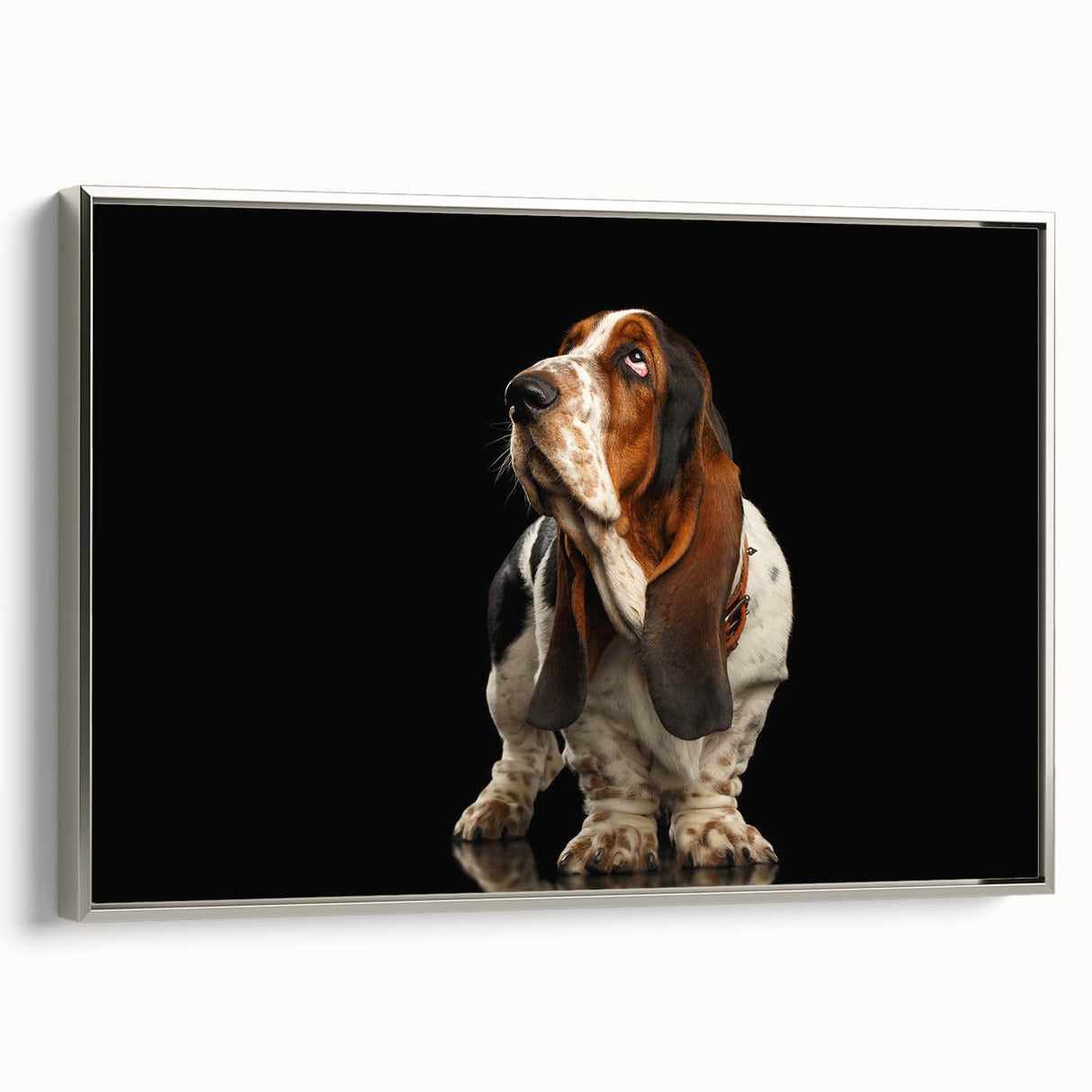Framed canvas wall art showcasing a side view of a Basset Hound design, featuring silver accents and a modern aesthetic, perfect for dog lovers and home decor enthusiasts.