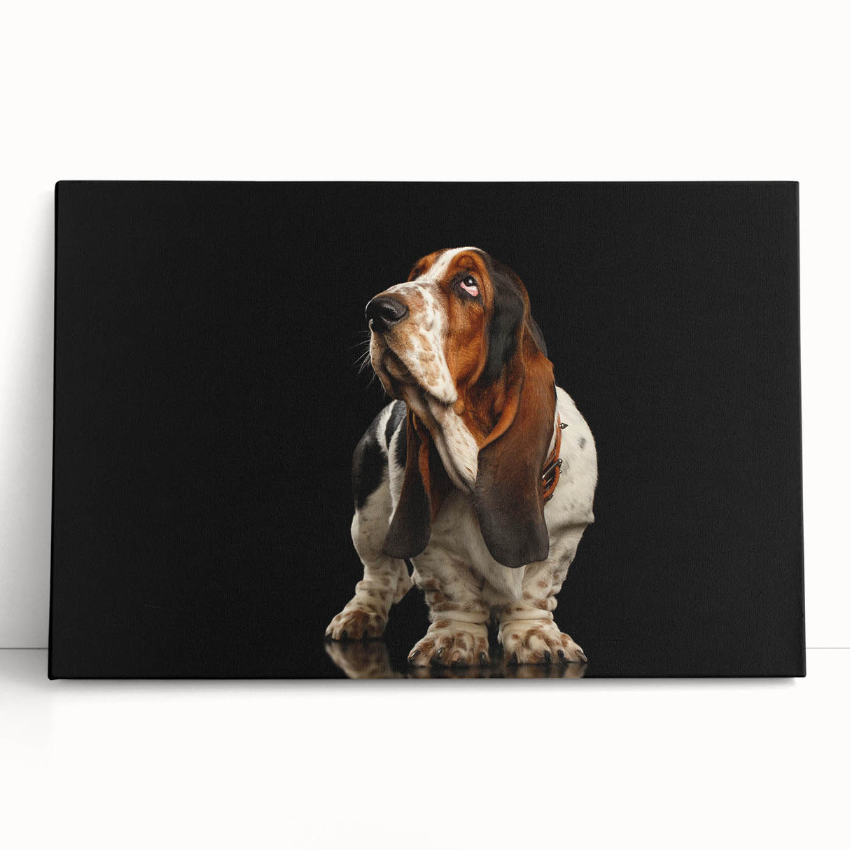 Basset Hound wall art design on stretched canvas, featuring a playful illustration of a basset hound with vibrant colors, perfect for dog lovers' home decor.
