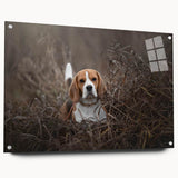 Basset Hound wall art design in acrylic glass, showcasing a side view with vibrant colors and unique pin accents, ideal for dog lovers and home decor enthusiasts.