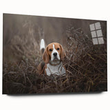 Basset hound wall art design printed on acrylic glass, showcasing a side view of the dog with vibrant colors, ideal for pet lovers and home decor enthusiasts.