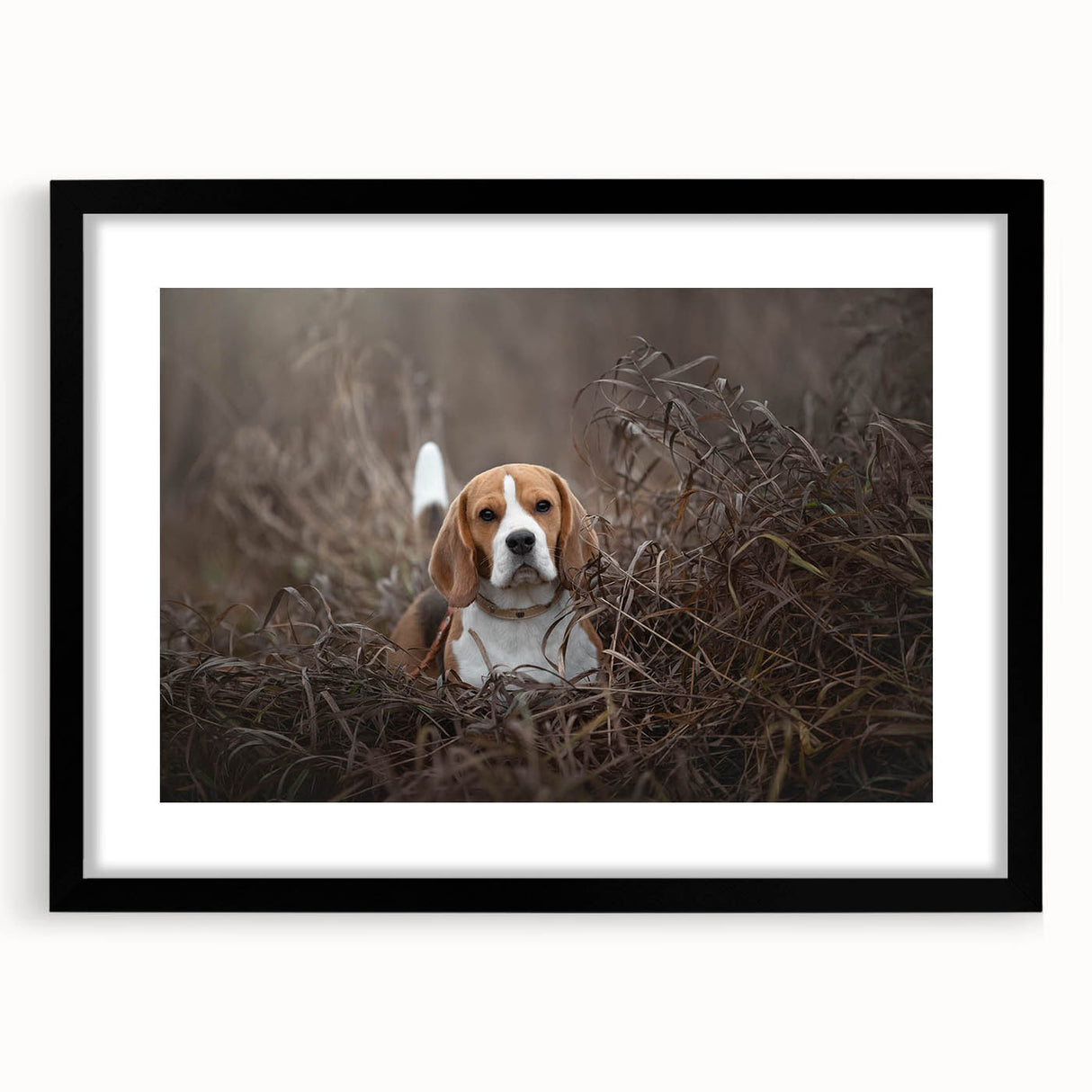 Basset Hound wall art collection framed in black, showcasing a detailed illustration of a playful basset hound against a white background, perfect for dog lovers.