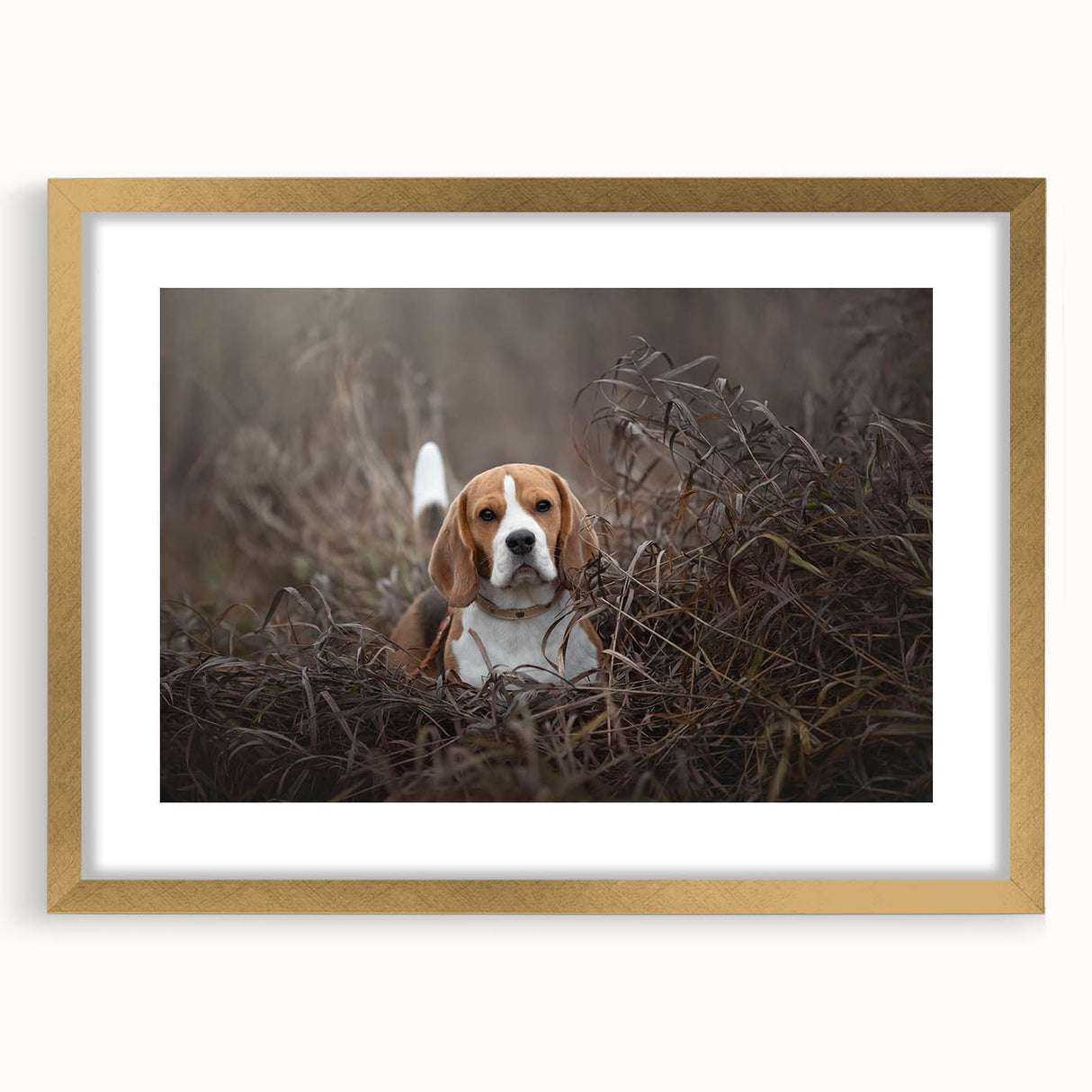Basset Hound wall art collection featuring a framed design with a gold mat, showcasing a playful and charming dog portrait, ideal for pet lovers.