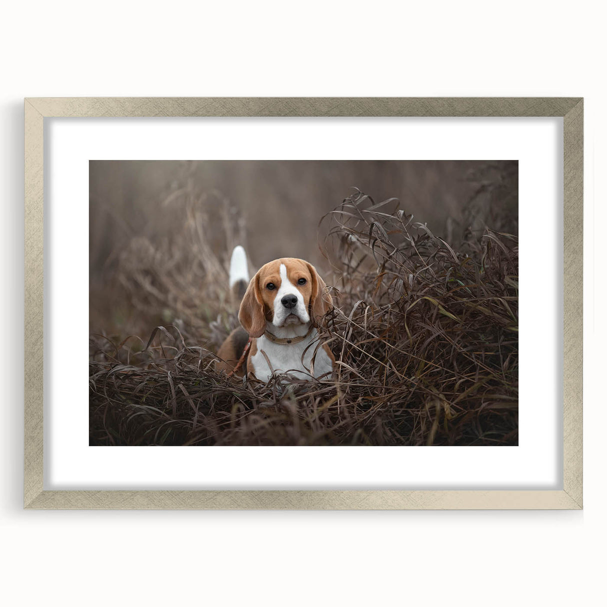 Basset hound wall art in a silver frame with matting, showcasing a playful design. Ideal for dog lovers, this stylish decor adds charm to any room.