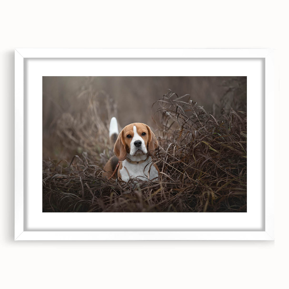 Basset Hound wall art framed in white with a mat, showcasing a playful illustration of a Basset Hound against a light background, perfect for dog lovers’ decor.