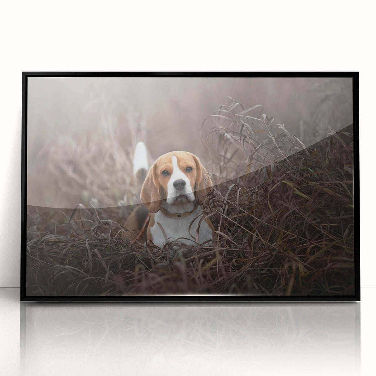 Framed wall art featuring a Basset Hound design, showcasing vibrant colors and intricate details on a black background, perfect for dog lovers' home decor.