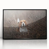 Framed wall art featuring a Basset Hound design, showcasing vibrant colors and intricate details on a black background, perfect for dog lovers' home decor.