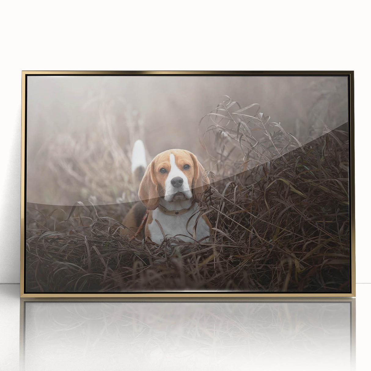 Framed wall art featuring a Basset Hound design in gold-accented acrylic, showcasing the dog’s expressive face and unique droopy ears, perfect for pet lovers.