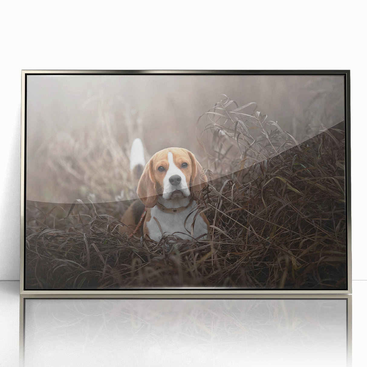 Framed wall art featuring a Basset Hound design in a silver-acrylic frame, showcasing the dog’s distinctive droopy ears and playful expression against a neutral background. Perfect for pet lovers and home decor enthusiasts.