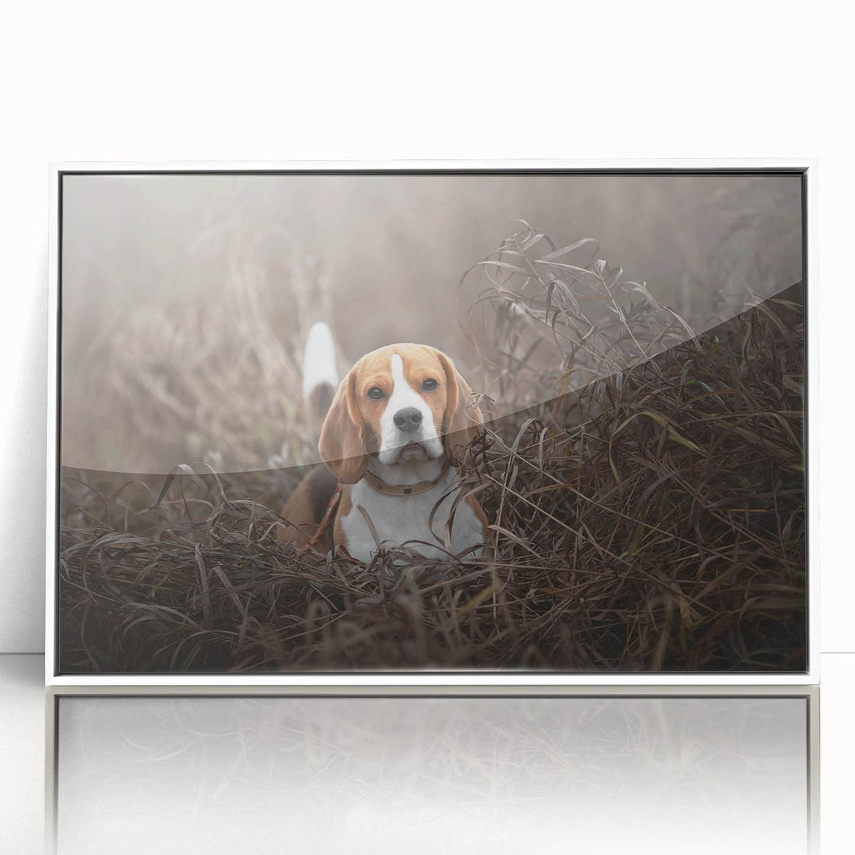 Framed wall art featuring a Basset Hound design in a sleek white frame, showcasing the dog's distinctive droopy ears and playful expression, perfect for pet lovers.