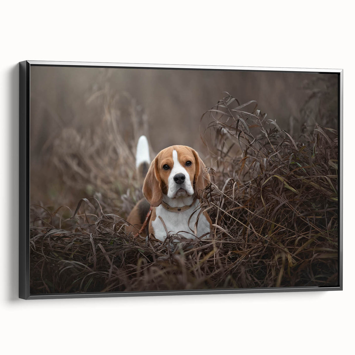 Basset Hound wall art featuring a framed canvas design with a black side view, perfect for dog lovers and home decor enthusiasts. Ideal for adding a touch of charm to any room.
