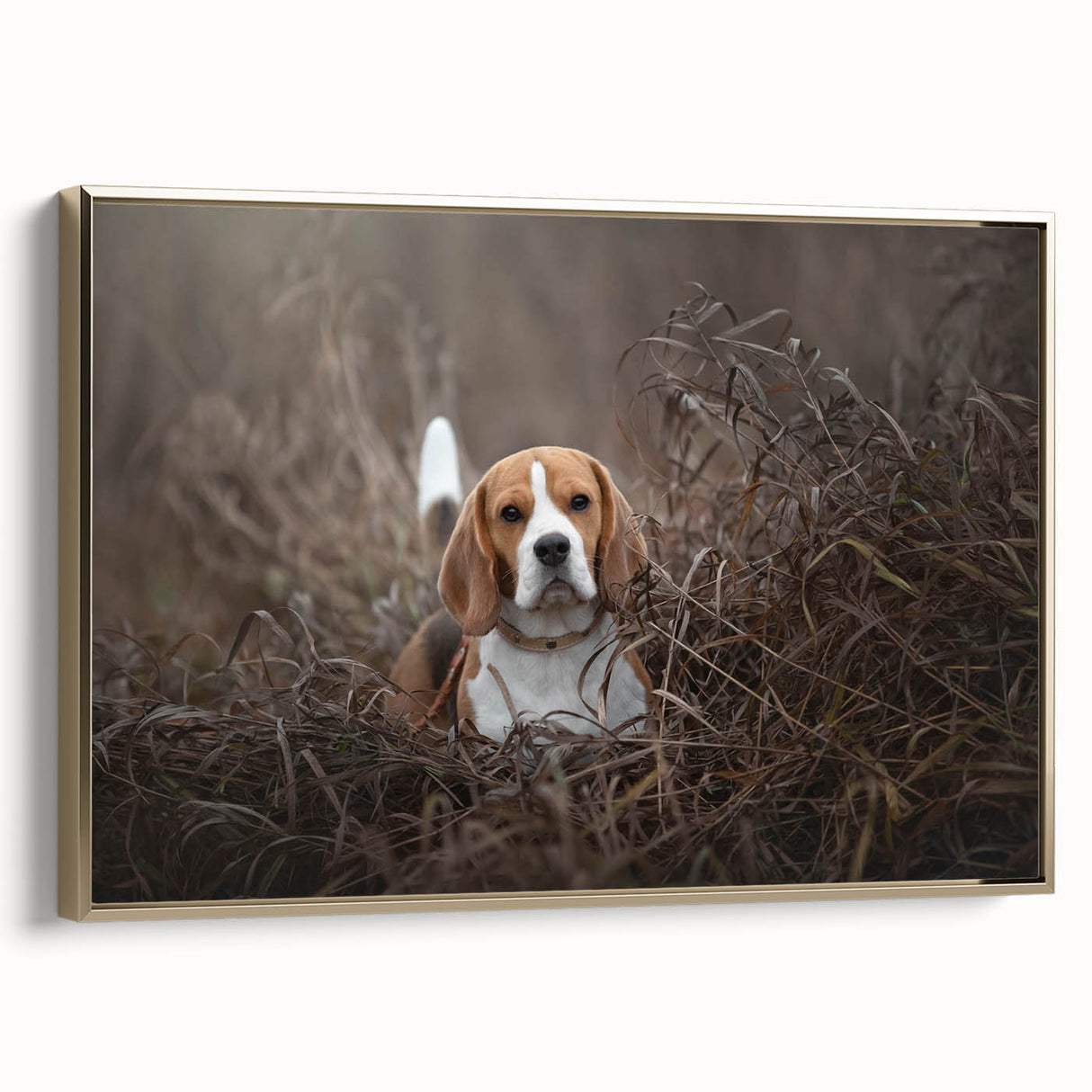 Basset Hound wall art collection featuring a framed canvas design with a gold frame, showcasing a side view of the playful dog against a minimalist background. This artwork adds a touch of elegance and charm to any pet lover's decor.