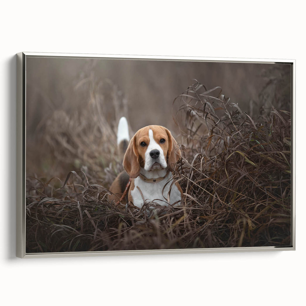 Basset Hound wall art collection featuring a framed canvas design with a silver frame, showcasing a side view of the playful dog in vibrant colors, perfect for dog lovers' home decor.