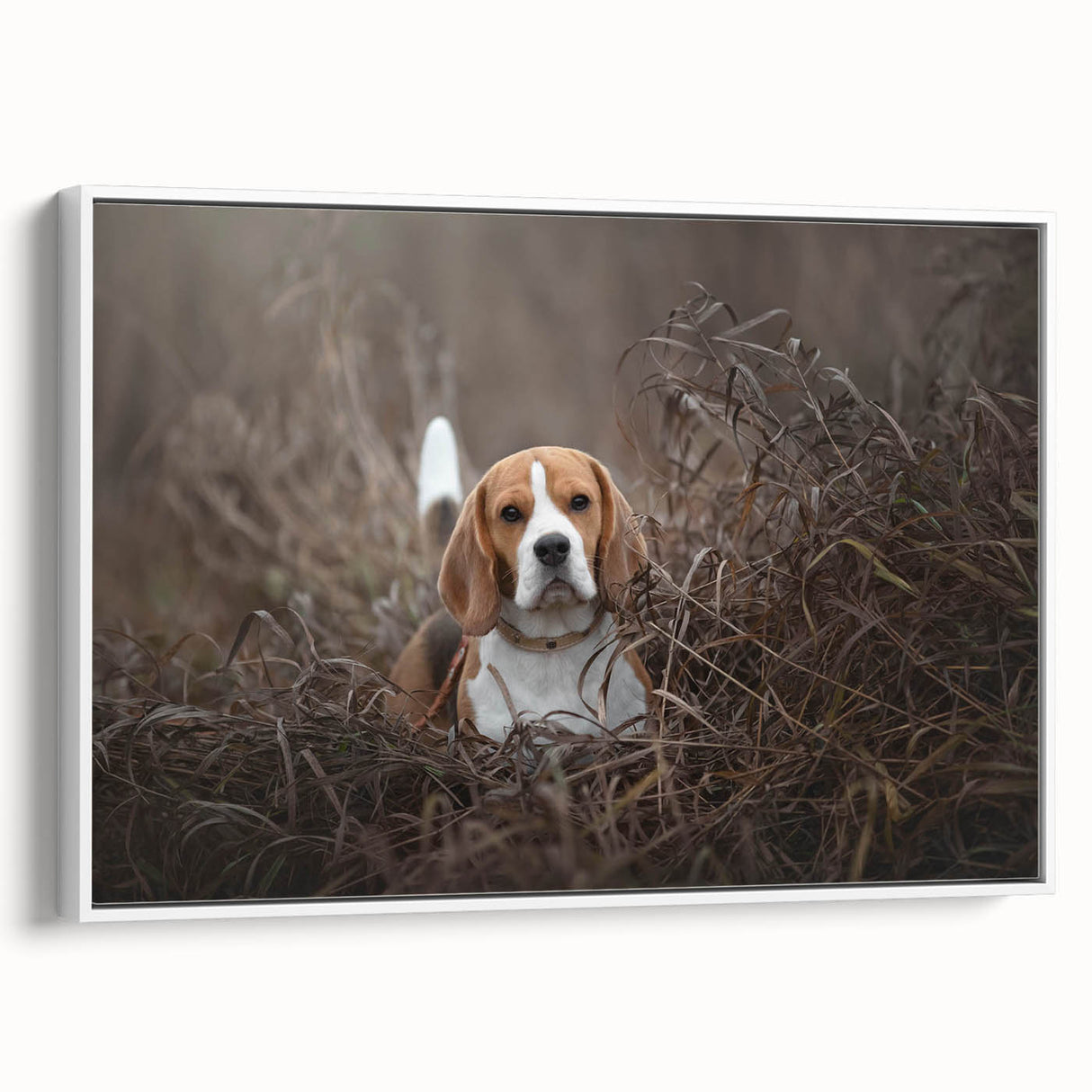 Framed canvas wall art featuring a Basset Hound design in a playful pose, set against a crisp white background. Ideal for dog lovers and home decor enthusiasts.