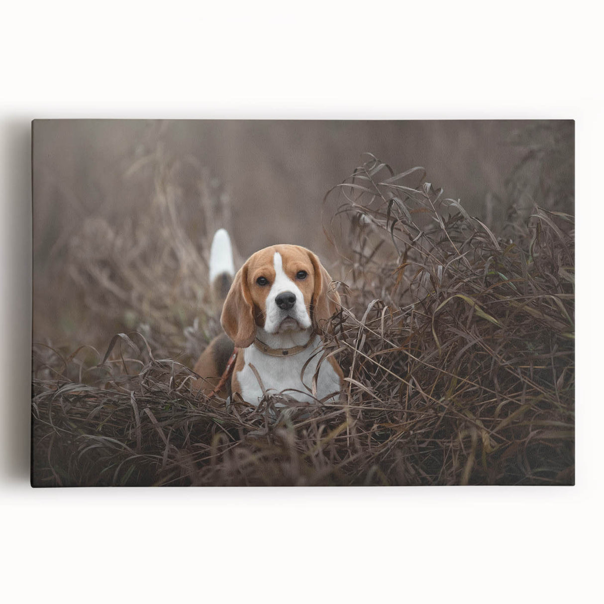 Basset Hound wall art on stretched canvas showcasing a playful dog design with rich colors, perfect for dog lovers’ home decor. Ideal for pet-themed spaces.