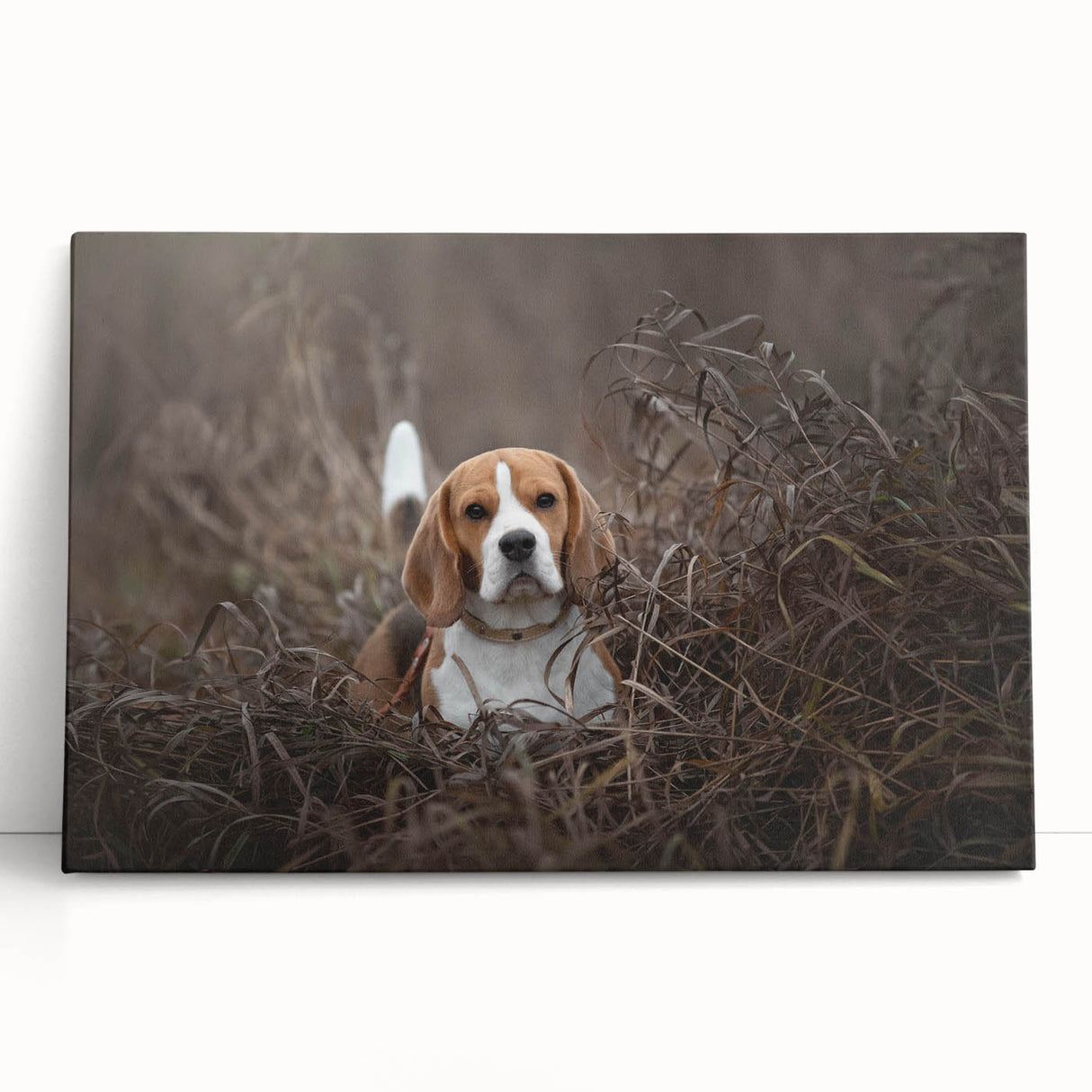 Basset Hound wall art canvas in a playful design, showcasing vibrant colors and charming details, perfect for dog lovers' home decor.