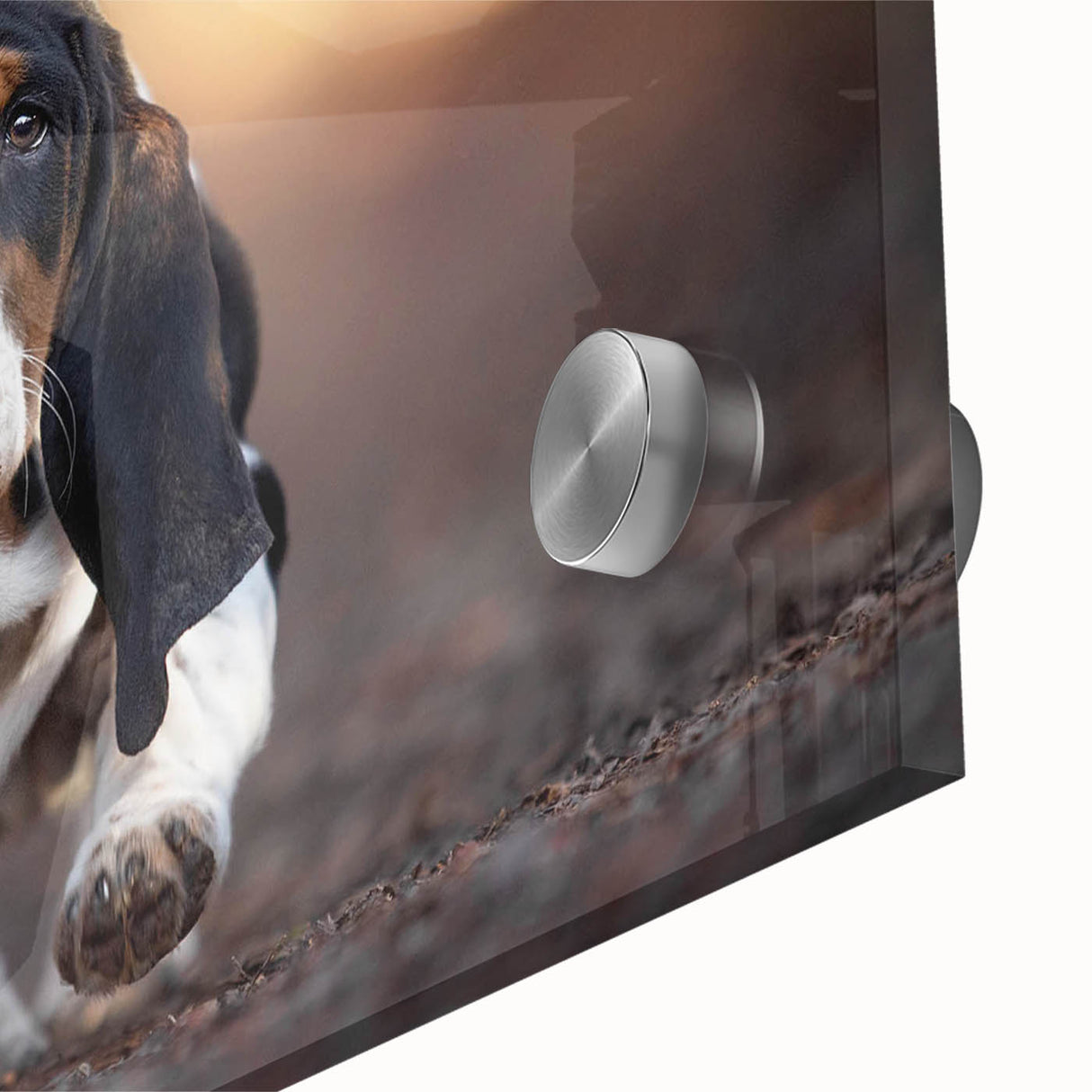 Close-up of a vibrant Basset Hound design wall art piece, showcasing detailed acrylic glass textures and vivid colors, perfect for dog lovers' home decor.