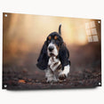 Basset Hound design wall art collection displayed on acrylic glass, showcasing vibrant colors and detailed side view, ideal for pet lovers’ home decor.