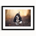 Basset Hound-themed wall art collection framed in black with a white mat, showcasing a playful design ideal for dog lovers and home décor enthusiasts.