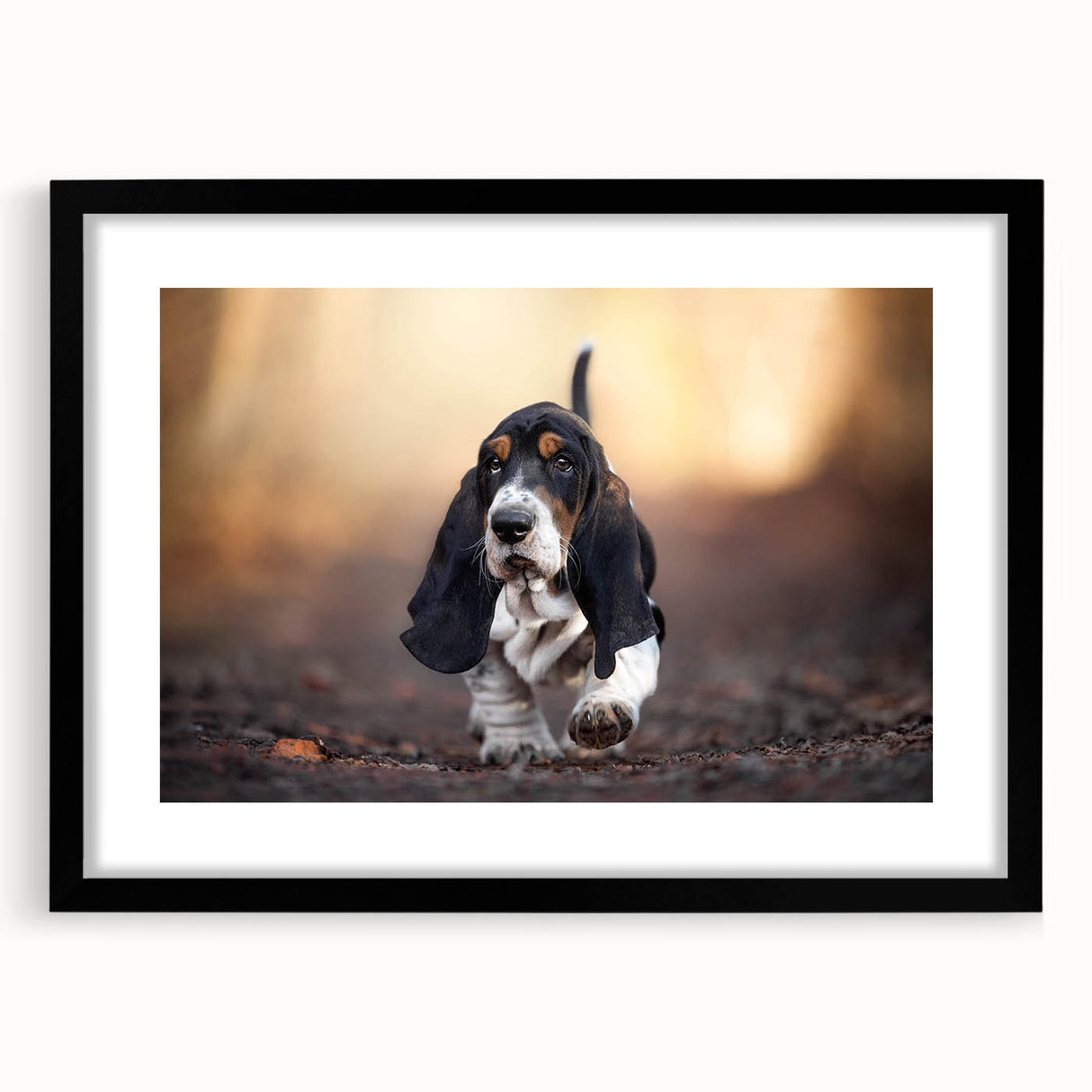 Basset Hound-themed wall art collection framed in black with a white mat, showcasing a playful design ideal for dog lovers and home décor enthusiasts.