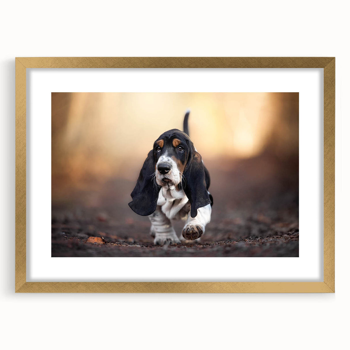 Basset Hound wall art collection featuring a framed design with a gold mat, showcasing a charming illustration of a Basset Hound in a playful pose, perfect for dog lovers' home decor.