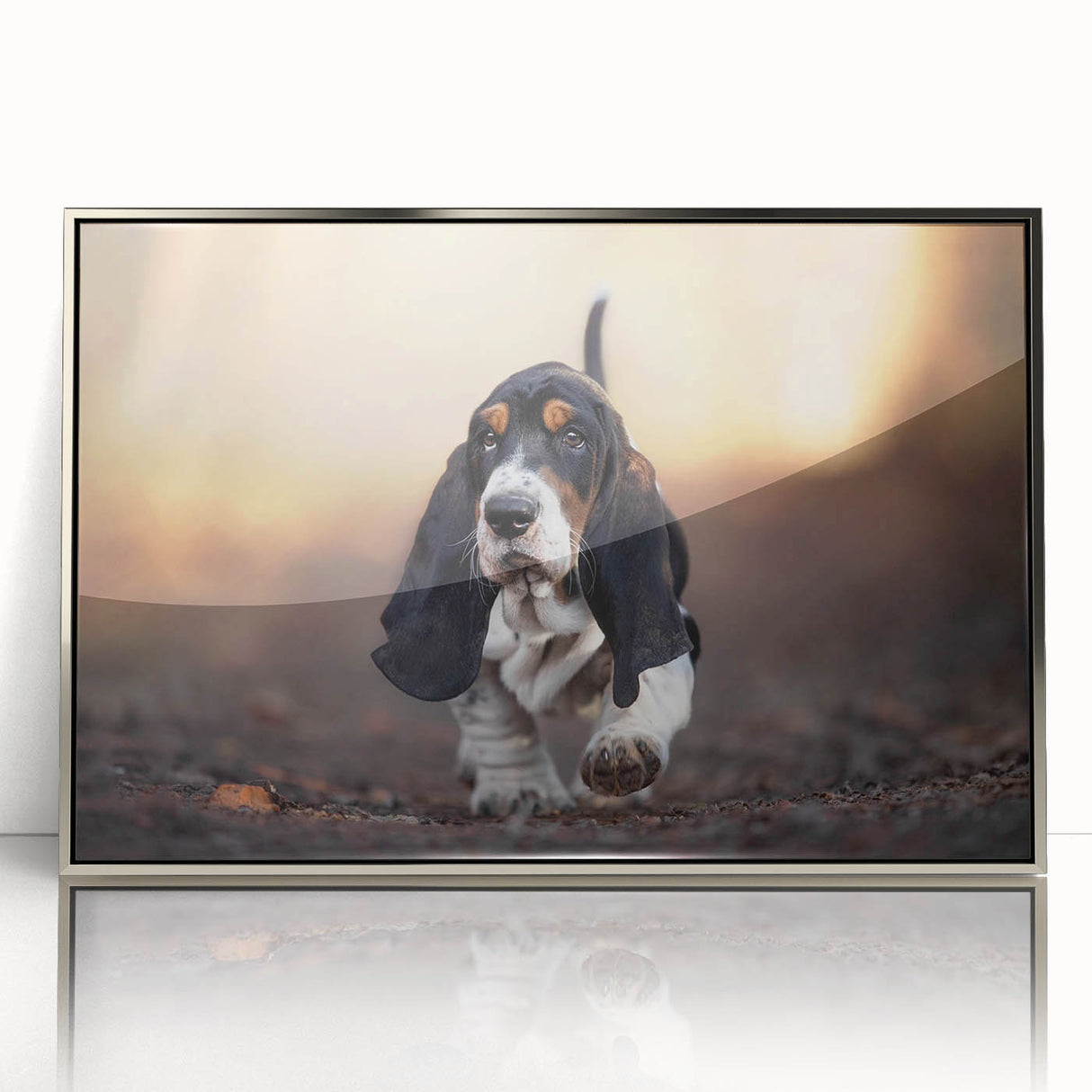 Framed wall art featuring a striking Basset Hound design, elegantly displayed in a silver frame with an acrylic front, perfect for dog lovers and home decor enthusiasts.