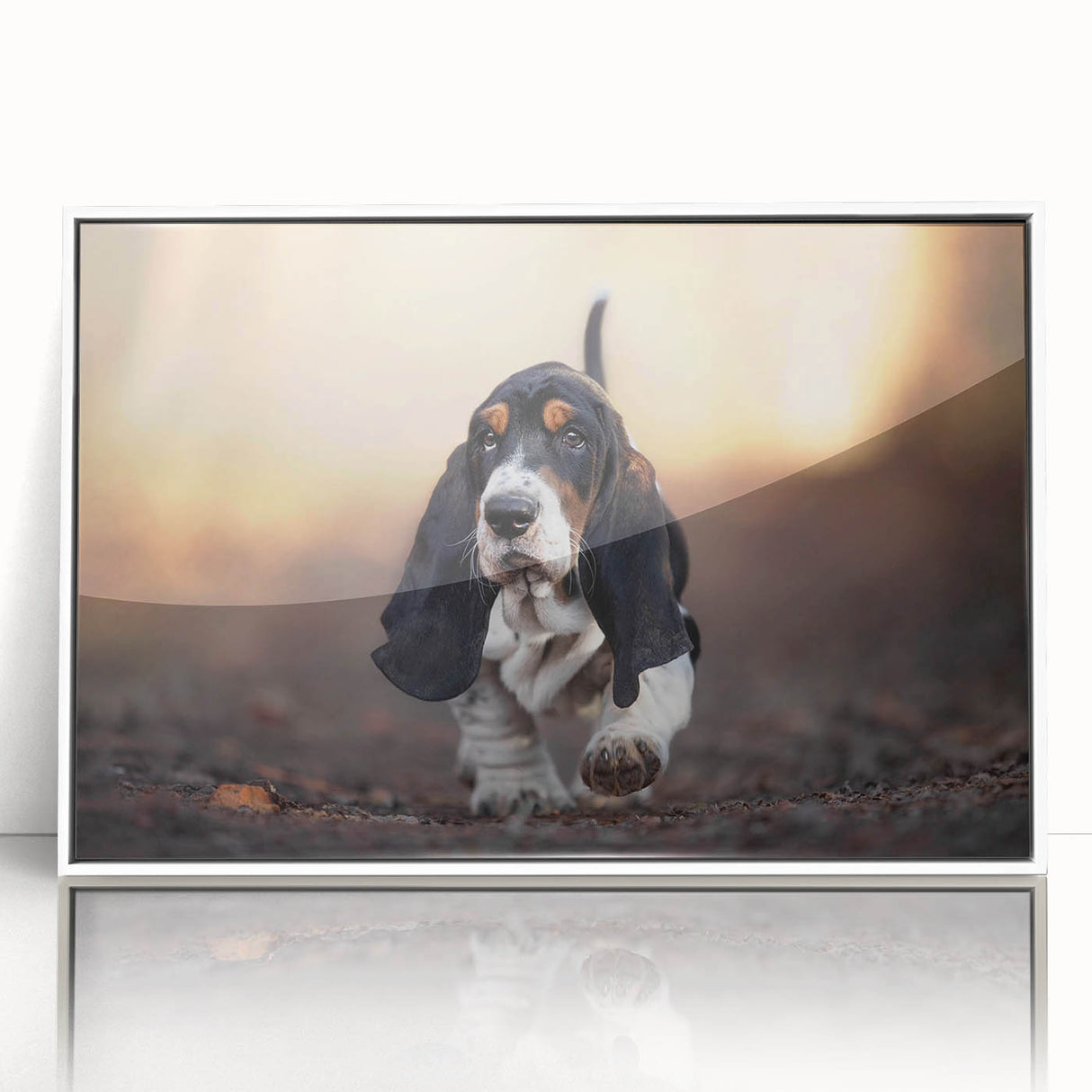Framed acrylic wall art showcasing a stylish Basset Hound design in a white frame, ideal for pet lovers and home decor enthusiasts, emphasizing playful canine charm.