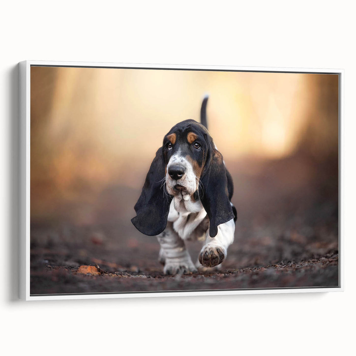 Framed wall art featuring a Basset Hound design on canvas, showcasing its playful expression and distinctive droopy ears, perfect for dog lovers' home decor.