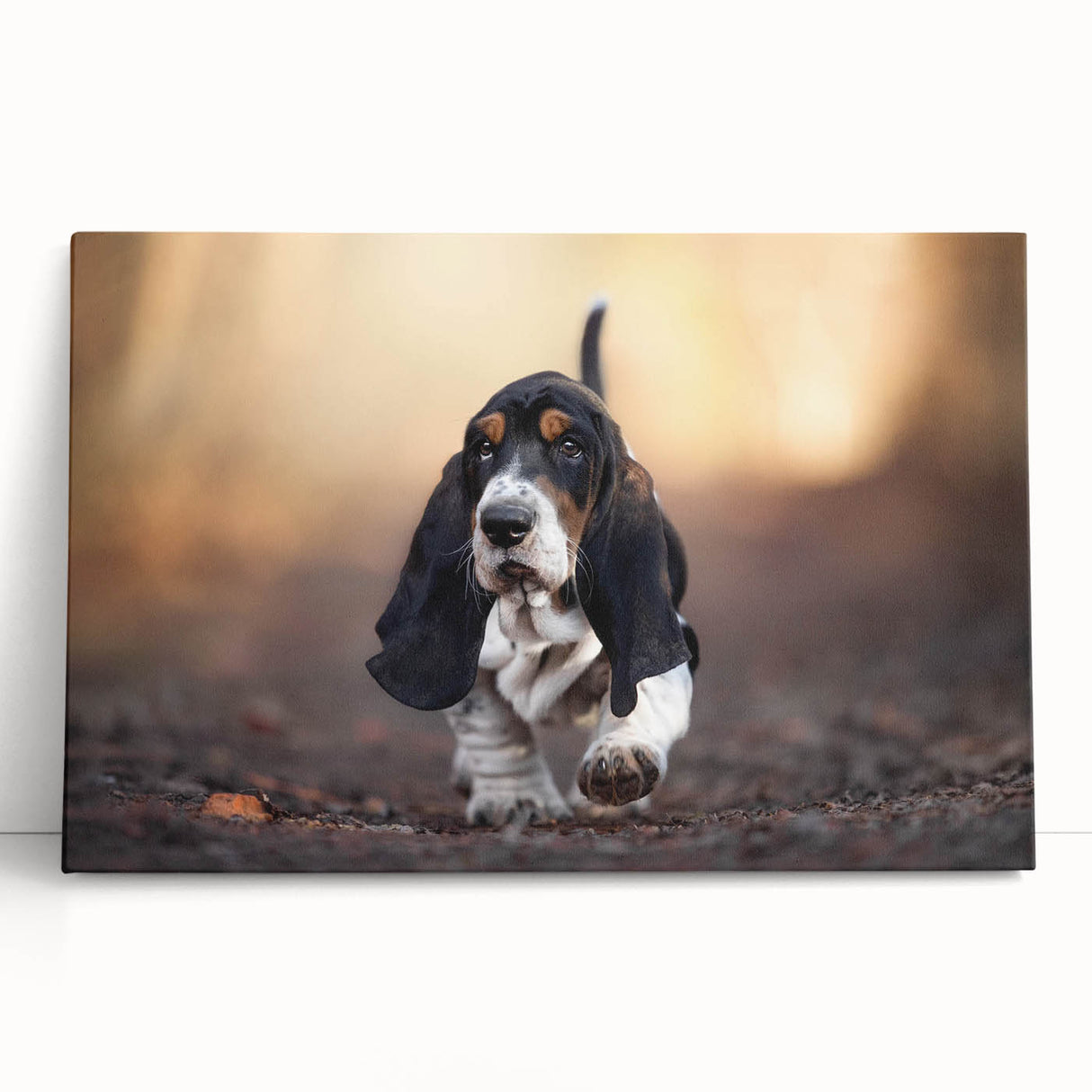 Basset Hound wall art design on stretched canvas, showcasing a charming illustration of a playful Basset Hound against a neutral background, perfect for dog lovers.